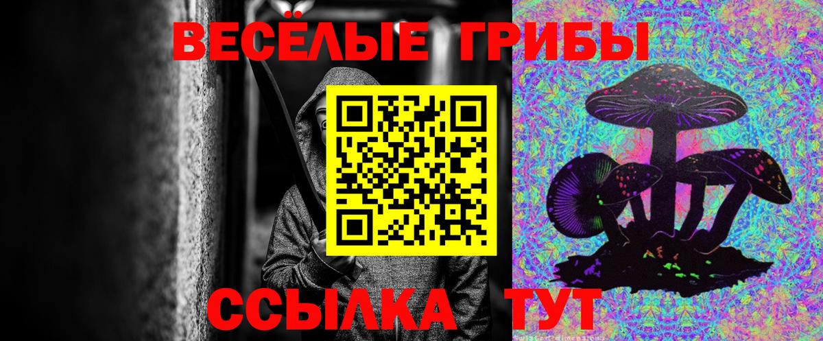 Балабаново  Галлюциногенные грибы GOLDEN TEACHER  цена наркотик  Галлюциногенные грибы Magic Shrooms  Вход с VPN 