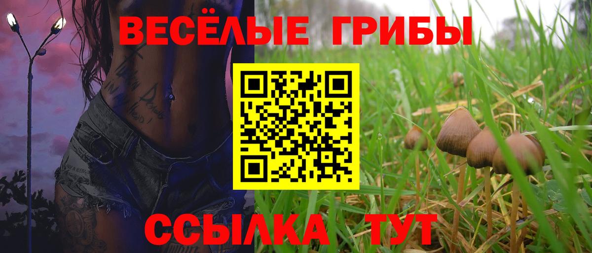 Псилоцибиновые грибы Magic Shrooms Балабаново